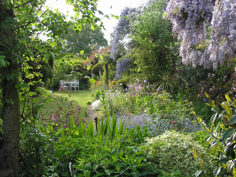 Town Hill Cottage